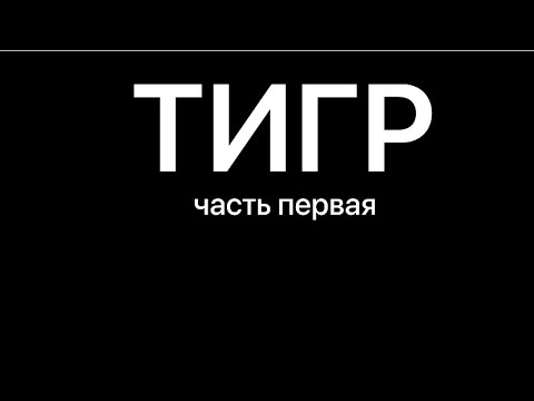 Видео: Сравнение тигров. Лучший из лучших генеральский тигр!