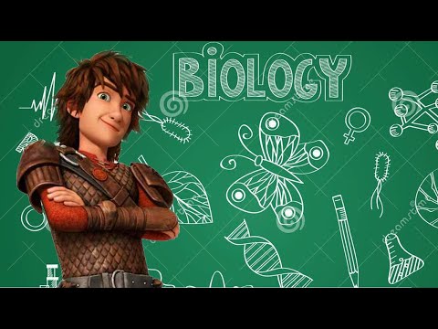 Видео: СМЕШНЫЕ РОЛИКИ (КАК ПРИРУЧИТЬ ДРАКОНА). ЖИЗА/МЕМЫ от Монстроведа. Часть 1