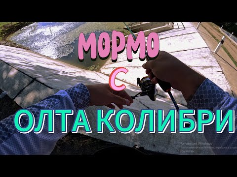 Видео: #МОРМЫШИНГ/ОЛТА КОЛИБРИ/ПЕРВЫЕ ВПЕЧАТЛЕНИЕ