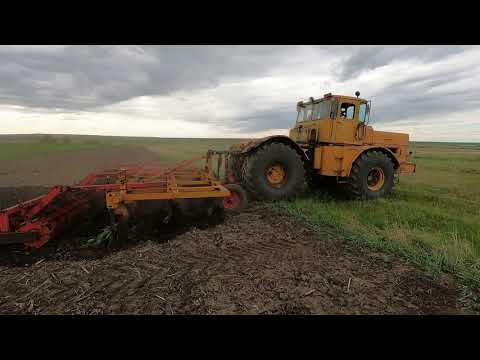 Видео: К-701 работа с тяжелым культиватором ТНК