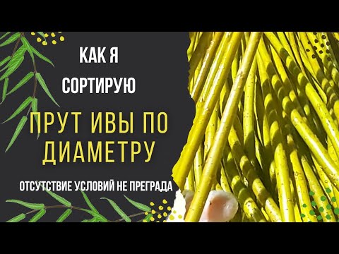 Видео: Сортировка прута ивы по диаметру. Как я это делаю.