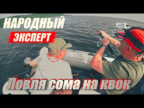 Видео: Народный эксперт. СОМ ДОЛГО испытывал наше ТЕРПЕНИЕ, пока не решился. Ловля СОМА на КВОК