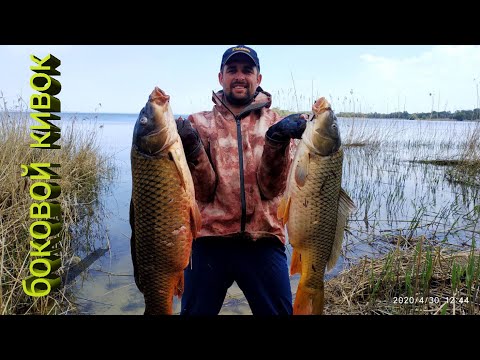 Видео: Дикие САЗАНЫ на БОКОВОЙ КИВОК / Ловля карпа на боковой кивок / Карп
