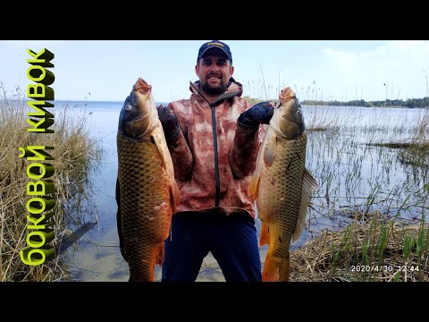 Видео: Дикие САЗАНЫ на БОКОВОЙ КИВОК / Ловля карпа на боковой кивок / Карп