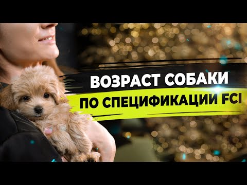Видео: Этапы роста собаки, установленные международной кинологической федерацией.