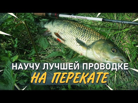 Видео: Летний голавль на воблеры. Лучшая проводка на перекате