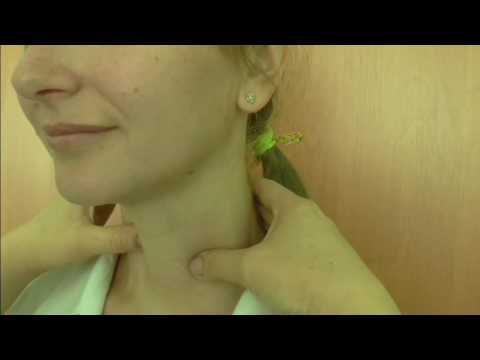 Видео: Пальпация щитовидной железы