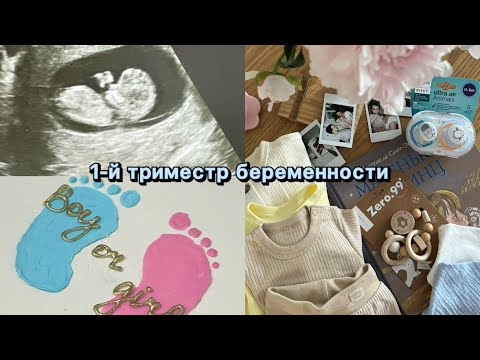 Видео: Первый триместр беременности. Снова будем родителями