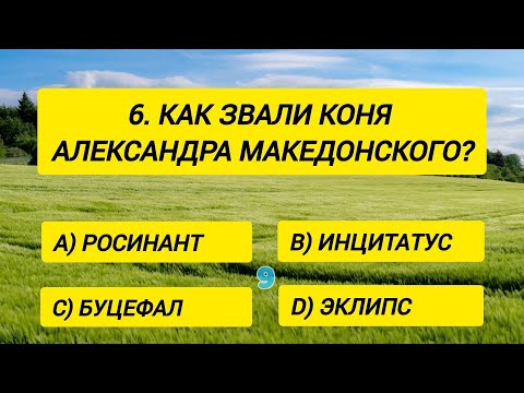 Видео: Только 1 из 100 сможет правильно ответить хотя бы на 16 вопросов
