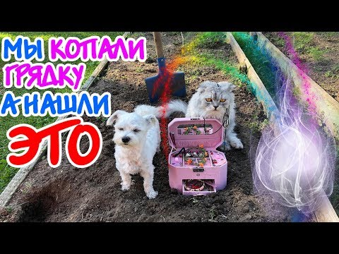 Видео: БИЛ И ПАПА ВЫКОПАЛИ МАГИЧЕСКУЮ ШКАТУЛКУ! КЕВИН В ПАНИКЕ! МАМА ВСЕ ИСПОРТИЛА!