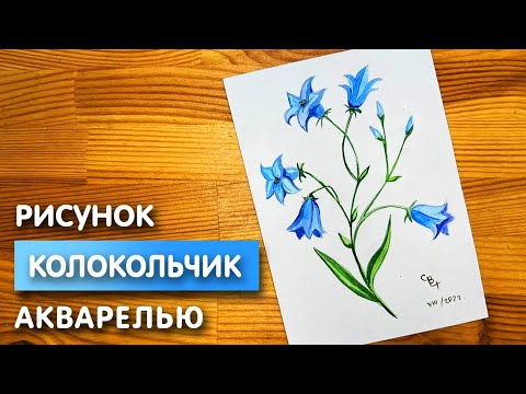 Видео: Как нарисовать колокольчик карандашом и акварелью начинающим | Рисунок поэтапно и легко для детей
