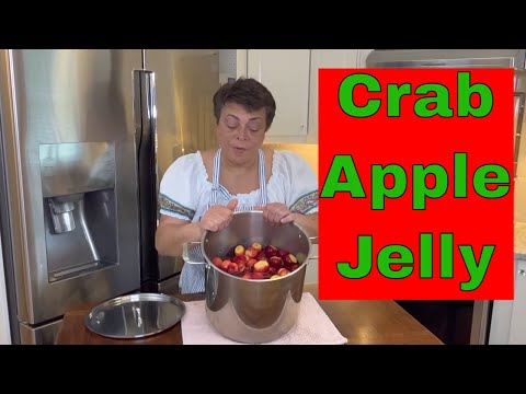 Видео: Желе из крабовых яблок