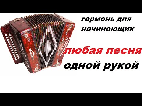 Видео: Гармонь с нуля