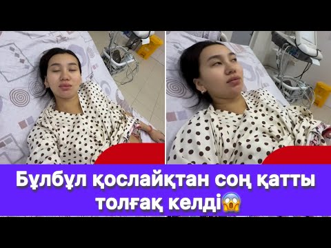 Видео: Бұлбұл қослайқтан соң қатты толғақ келді😱