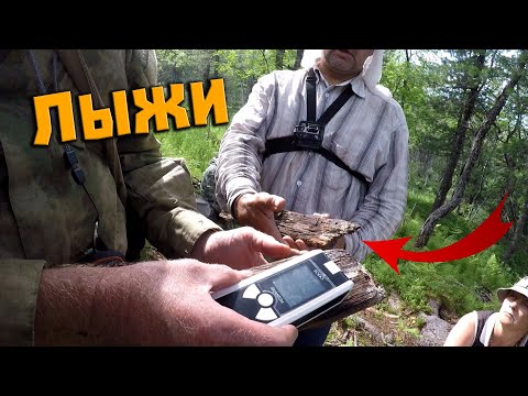 Видео: Перевал Дятлова. У кедра показываю лыжи, найденные прошлым летом в ручье ниже настила