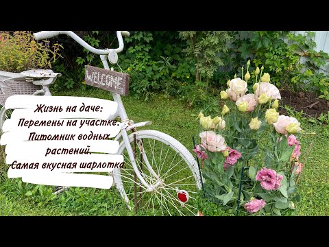 Видео: Жизнь на даче: Перемены на участке. Питомник водных растений. Самая вкусная шарлотка.