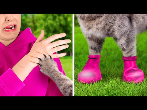 Видео: УМНЫЕ ЛАЙФХАКИ И ГАДЖЕТЫ ДЛЯ КРУТЫХ ВЛАДЕЛЬЦЕВ ДОМАШНИХ ЖИВОТНЫХ