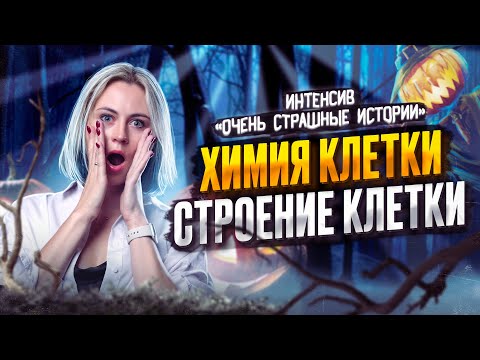 Видео: Химия клетки. Строение клетки | Ксения Напольская