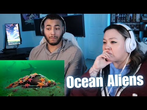 Видео: OtakuCouple отреагировала на ужасающую правду о пришельцах в океане (Casual Geographic)