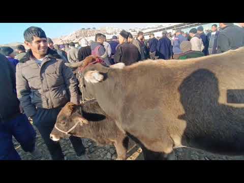 Видео: ИСКРА МОЛ БОЗОРДА КАТА МОЛ МАЙДА МОЛАР НАРХЛАРИ ЖИГАРЛАРИМ 👇🏻☘️😄😄😄😄😄