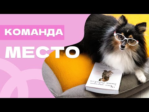 Видео: Учим команду МЕСТО