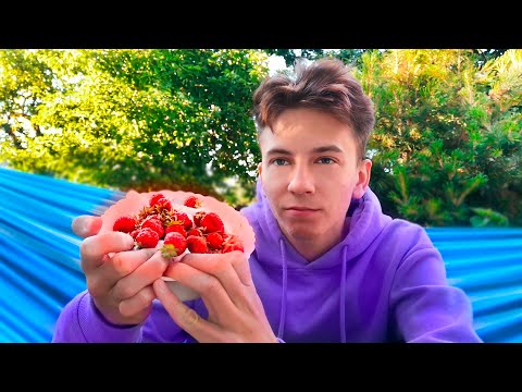 Видео: АСМР ИТИНГ КЛУБНИКИ | АСМР МУКБАНГ КЛУБНИКА | ASMR EATING STRAWBERRIES | ASMR MUKBANG STRAWBERRY