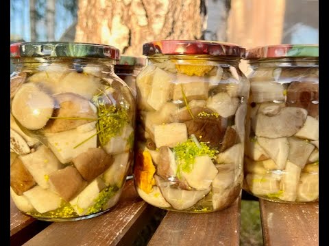 Видео: МАРИНОВАННЫЕ ПОДБЕРЁЗОВИКИ, очень вкусный рецепт! За 35 лет ни одна банка не вздулась!