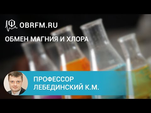 Видео: Профессор Лебединский К.М.: Обмен магния и хлора