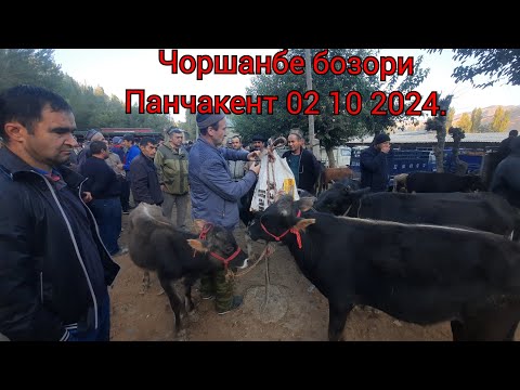 Видео: Молбозори Шурча чоршанбе бозор нарху наво 02 10 2024.