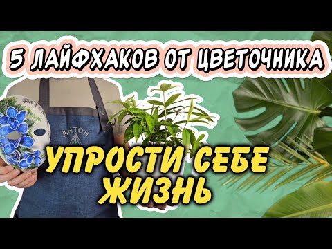 Видео: Упрости уход за комнатными растениями с лайфхаками от Антона-Цветочника!Просто, дешево и эффективно