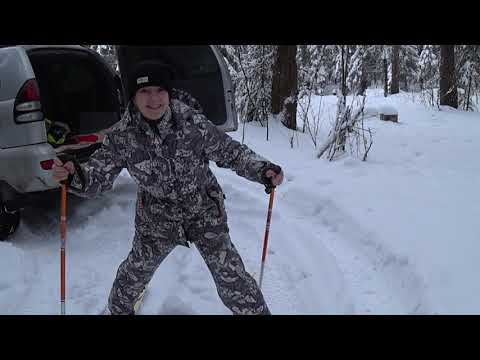 Видео: Охота на зайца и лису с Эстонской гончей 30.12.22.