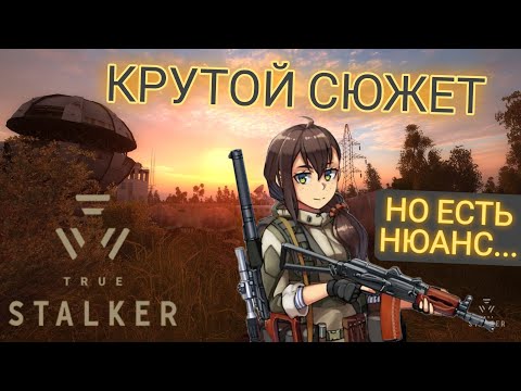 Видео: True Stalker обзор