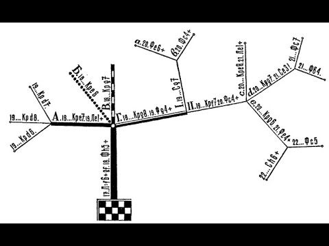 Видео: 40.4 Методика Котова