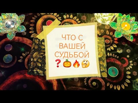 Видео: ЧТО С ВАШЕЙ СУДЬБОЙ❓ #ПосланиеВС 🔥🪔  @zerkalotaro 