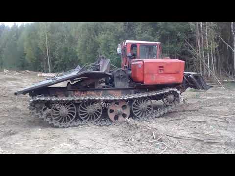 Видео: Как работает трелёвочник можно смотреть бесконечно!