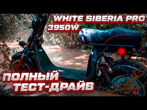 Видео: CITYCOCO WHITE SIBERIA PRO MAX 4000W! На что способен электроскутер в ЛЕСУ? Жесткий тест-дайв !