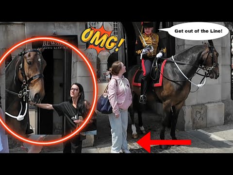 Видео: НЕТ! Она залезла в коробку и получила по заслугам!