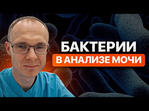 Видео: Бактерии в анализе мочи. Врач уролог-андролог. Москва