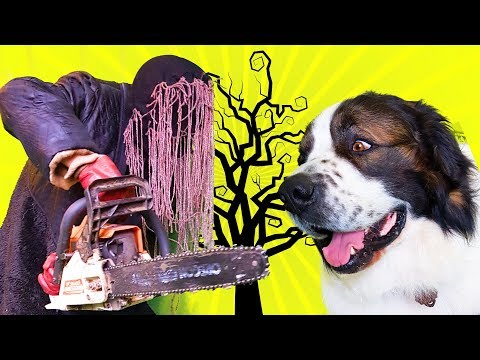 Видео: ЧЕРНЫЙ ПОДПИСЧИК. Страшный лес. Первый контакт. Московская сторожевая Булат Говорящая собака