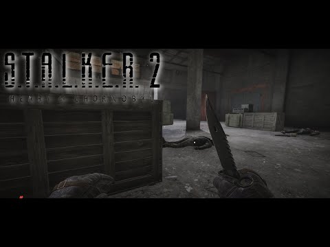 Видео: "Мастер Арены" S.T.A.L.K.E.R. 2: Heart of Chornobyl №23 (no comments. без комментариев)