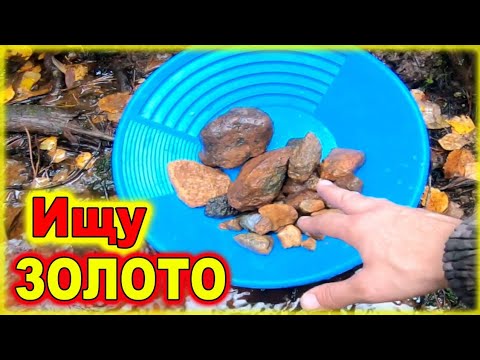 Видео: Ушёл в ЛЕС за ЗОЛОТОМ и ЗАБЛУДИЛСЯ