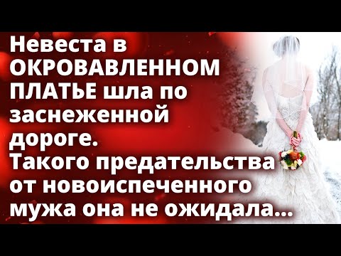 Видео: Невеста шла по заснеженной дороге. Такого предательства от мужа она не ожидала...Истории любви