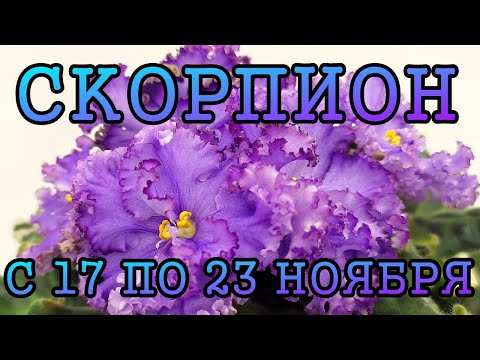 Видео: СКОРПИОН таро прогноз на неделю с 17 по 23 НОЯБРЯ 2025 года