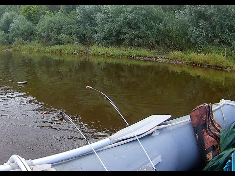 Видео: На Оке с лодки  на кольцо