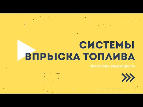 Видео: Системы впрыска топлива снегоходов, квадроциклов