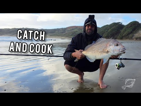 Видео: Поймать Кука и Лагерь Сумерек [с Новой]