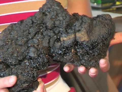 Видео: Мумие