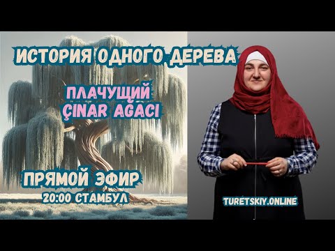 Видео: Турецкий с ароматом кофе. "Плачущий Çınar ağacı"