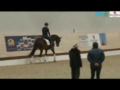 Видео: Семинар  по выездке с Рафаэлем Сале в Maxima Stables, 14.02.15 - 2