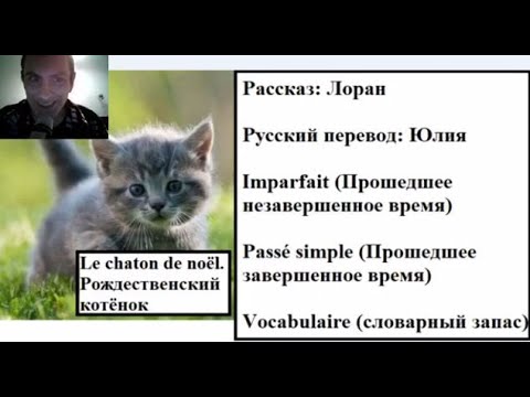 Видео: Le chaton de noël - Рождественский котёнок - Сказка на французском
